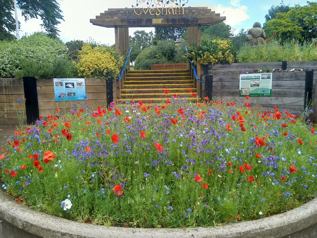 Red and purple flowers in Abbey Park