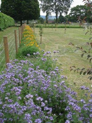 Abbey Park