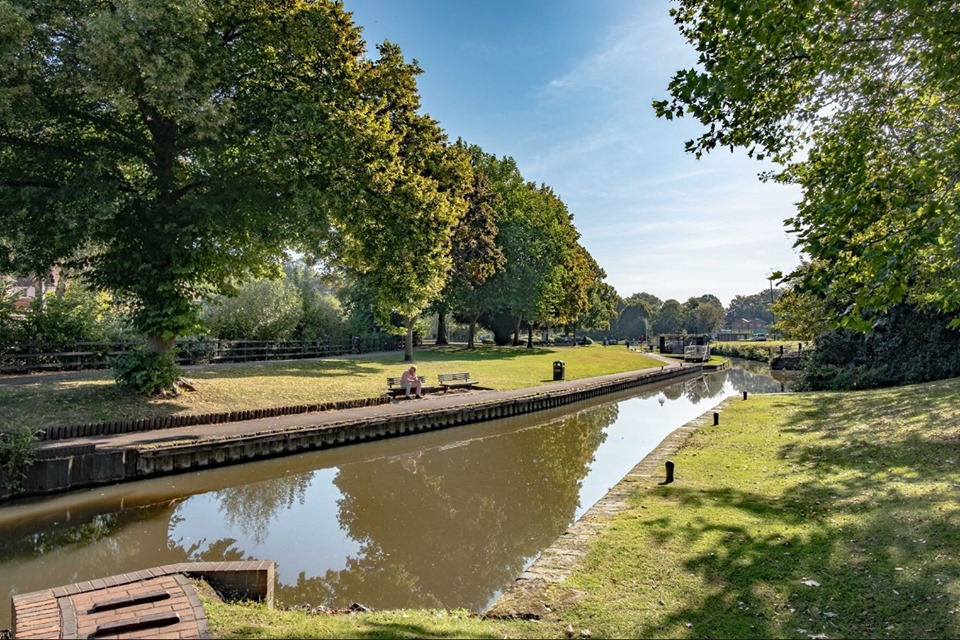 Vine park landscape