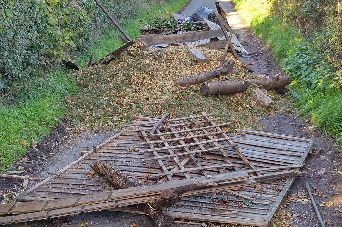A pile of wood, trees and garden waste dumped on a rural road