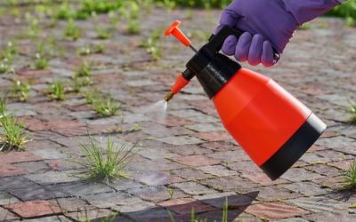 Herbicide use to be restricted in Wychavon's parks