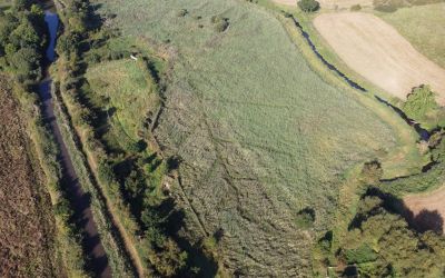Boosting biodiversity in Droitwich Spa
