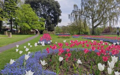 Join in the Love Parks 2025 celebration