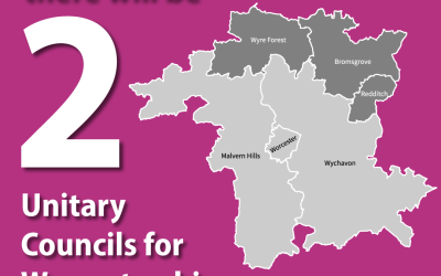 Government makes decision on future of local councils