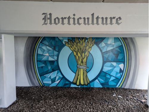 Asparagus mural