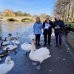 Karen and Steve Bearcroft receiving their award for looking after the swan population